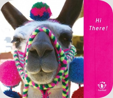 Fair Trade Photo Greeting Card Animals, Folklore, Friendship, Peru