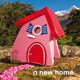 Fair Trade Photo Greeting Card Birdhouse, Colour image, Congratulations, Day, Horizontal, House, New home, Outdoor, Peru, Pink, Red, Rural, Seasons, Sky, South America, Summer, Tree, Welcome home