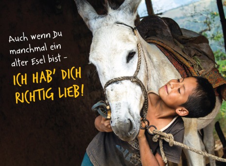 Fair Trade Photo Greeting Card 5_-10_years, Activity, Animals, Care, Colour image, Cute, Horse, Hugging, Latin, Love, One boy, People, Peru, Portrait halfbody, Rural, Smiling, South America
