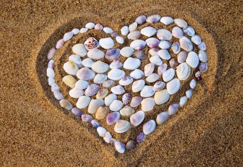 Fair Trade Photo Greeting Card Asia, Beach, Closeup, Colour image, Heart, Horizontal, India, Love, Sand, Shell, Summer, Valentines day