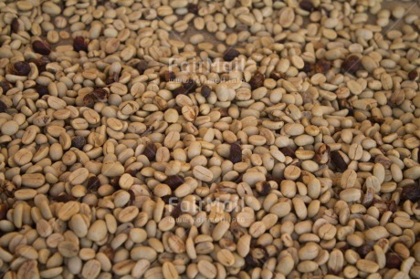 Fair Trade Photo Bean, Coffee, Colour image, Food and alimentation, Harvest, Horizontal