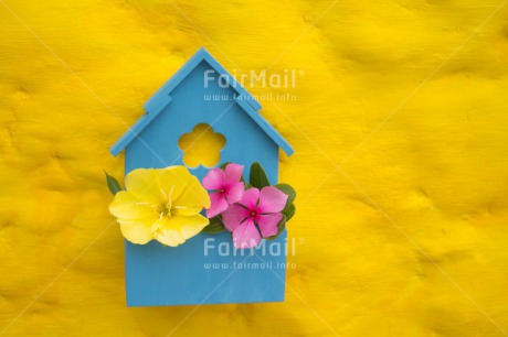 Fair Trade Photo Birdhouse, Colour image, Flower, Horizontal, House, New home, Peru, South America