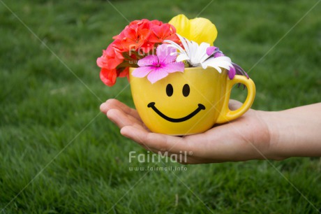 Fair Trade Photo Activity, Colour image, Cup, Flower, Friendship, Giving, Hand, Horizontal, Mothers day, Peru, Smile, South America, Thank you