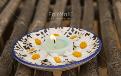 Fair Trade Photo Candle, Closeup, Colour image, Condolence-Sympathy, Daisy, Flame, Flower, Horizontal, Peru, Shooting style, South America, Spirituality, Wellness