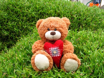 Fair Trade Photo Colour image, Grass, Heart, Horizontal, Love, Mothers day, Outdoor, Peru, Red, South America, Summer, Teddybear, Valentines day