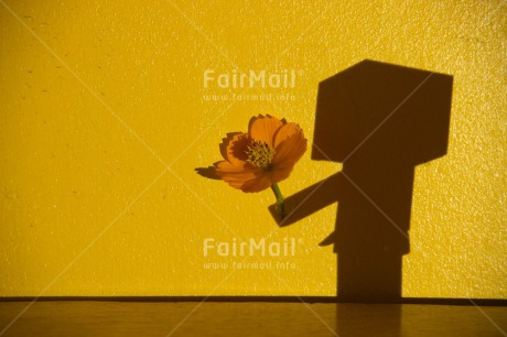 Fair Trade Photo Colour image, Danboard, Flower, Horizontal, Love, Peru, Shadow, Sorry, South America, Valentines day, Yellow