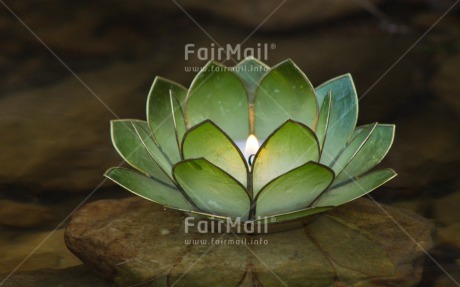 Fair Trade Photo Candle, Colour image, Condolence-Sympathy, Flame, Get well soon, Horizontal, Lotus flower, Peru, South America, Thinking of you