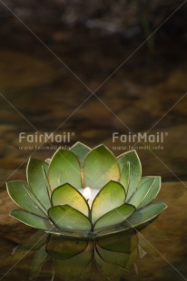 Fair Trade Photo Candle, Colour image, Condolence-Sympathy, Flame, Get well soon, Lotus flower, Peru, South America, Thinking of you, Vertical