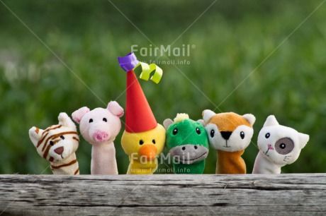 Fair Trade Photo Animals, Birthday, Colour image, Funny, Gift, Horizontal, Party, Peru, South America