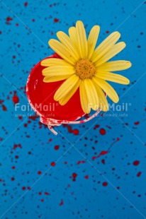 Fair Trade Photo Blue, Colour image, Colourful, Daisy, Flower, Moving, New home, Paint, Peru, Red, South America, Vertical, Welcome home, Yellow
