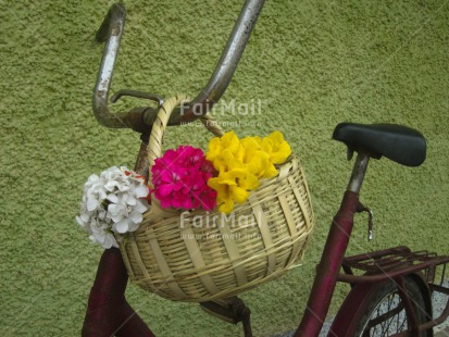 Fair Trade Photo Basket, Bicycle, Closeup, Colour image, Day, Flower, Friendship, Horizontal, Love, Mothers day, Outdoor, Peru, South America, Transport