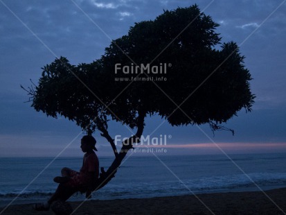 Fair Trade Photo Activity, Beach, Colour image, Emotions, Evening, Horizontal, Loneliness, One boy, Outdoor, People, Peru, Sea, Sitting, South America, Sunset, Tree, Water