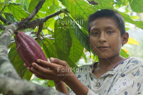 Fair Trade Photo Activity, Agriculture, Cacao, Chocolate, Colour image, Fair trade, Farmer, Food and alimentation, Harvest, Horizontal, Looking at camera, One boy, People, Peru, South America