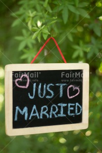 Fair Trade Photo Colour image, Heart, Marriage, Peru, South America, Tree, Vertical, Wedding