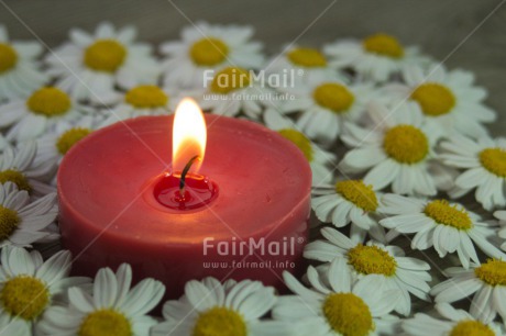 Fair Trade Photo Candle, Christmas, Colour image, Condolence-Sympathy, Daisy, Flame, Flower, Horizontal, Love, Peru, Red, South America, Thinking of you