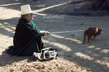 Fair Trade Photo Agriculture, Animals, Colour image, Hat, Horizontal, Market, One woman, People, Peru, Pig, Rural, Sombrero, South America