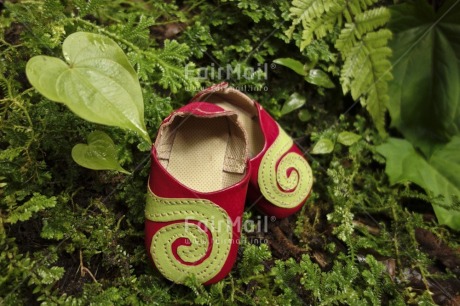 Fair Trade Photo Closeup, Colour image, Day, Forest, Green, Horizontal, Leaf, Nature, New baby, Outdoor, Peru, Plant, Red, Shoe, South America