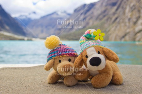 Fair Trade Photo Animals, Brother, Clothing, Cold, Colour image, Colourful, Day, Dog, Friendship, Hat, Horizontal, Lake, Mountain, Multi-coloured, Nature, Outdoor, Peru, Seasons, Sister, South America, Toy, Winter