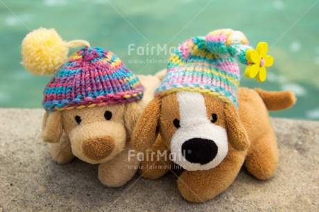 Fair Trade Photo Animals, Brother, Clothing, Cold, Colour image, Colourful, Day, Dog, Friendship, Hat, Horizontal, Lake, Multi-coloured, Nature, Outdoor, Peru, Seasons, Sister, South America, Toy, Winter