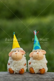 Fair Trade Photo Animals, Birthday, Friendship, Hat, Invitation, Party, Sheep, Together