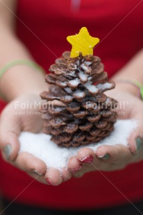 Fair Trade Photo Activity, Christmas, Colour image, Giving, Hand, Peru, Pine, Red, Seasons, Snow, South America, Star, Vertical, White, Winter, Yellow