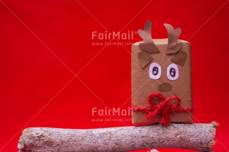 Fair Trade Photo Animal, Animals, Christmas, Christmas decoration, Colour, Object, Present, Red