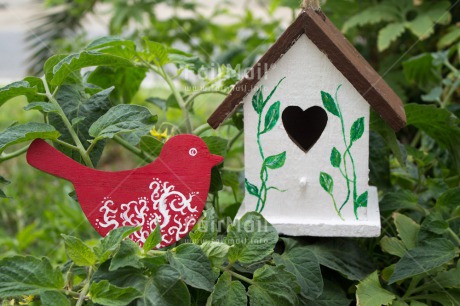 Fair Trade Photo Animals, Bird, Colour image, Heart, Horizontal, House, Love, New home