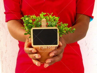 Fair Trade Photo Colour image, Congratulations, Contrast, Fathers day, Gift, Good luck, Green, Greeting, Hands, Horizontal, Message, Mothers day, Peru, Plant, Pot, Red, Sorry, South America, Thank you, Valentines day