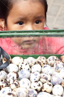 Fair Trade Photo Colour image, Egg, Food, Food and alimentation, Girl, People, Peru, South America, Tarapoto travel. market, Vertical