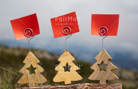 Fair Trade Photo Christmas, Closeup, Colour image, Day, Horizontal, Outdoor, Peru, South America, Star, Tree