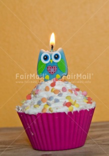Fair Trade Photo Birthday, Candle, Cupcake, Owl, Party, Peru, South America, Vertical