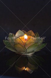 Fair Trade Photo Candle, Colour image, Condolence-Sympathy, Flower, Lotus flower, Peru, South America, Vertical