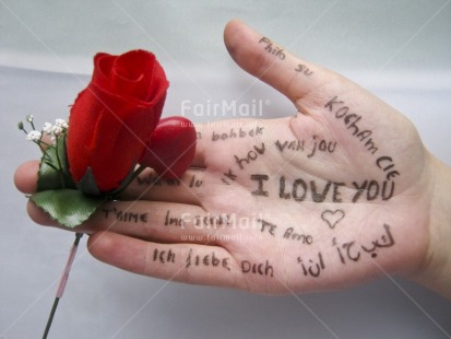 Fair Trade Photo Colour image, Flower, Friendship, Hand, Horizontal, Letter, Love, Peru, Rose, South America, Valentines day