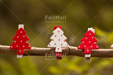 Fair Trade Photo Christmas, Day, Green, Horizontal, Outdoor, Red, Tabletop, Tree, White