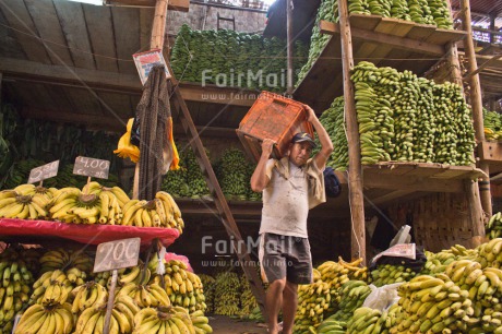 Fair Trade Photo Activity, Banana, Carrying, Casual clothing, Clothing, Colour image, Day, Entrepreneurship, Food and alimentation, Fruits, Horizontal, Latin, Market, One man, Outdoor, People, Peru, Portrait fullbody, Selling, South America