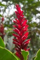 Photo PANR-2557