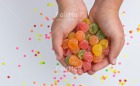 Photo PANR-2788