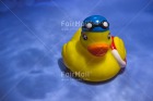Photo PDTJ-1646