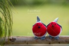 Photo PDTJ-1689