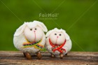 Foto PPLL-2532