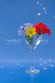 Foto PDTJ-2288