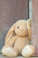Photo PGPR-0904