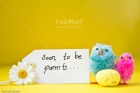 Photo PDTJ-2566