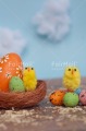 Photo PFSL-0071