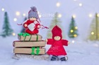 Photo PMCA-0652