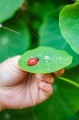 Foto PJLD-0179