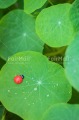 Foto PJLD-0180