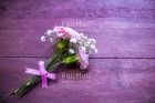 Photo PFSL-0181