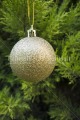 Photo PANR-0372