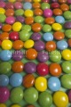Photo PANR-0495